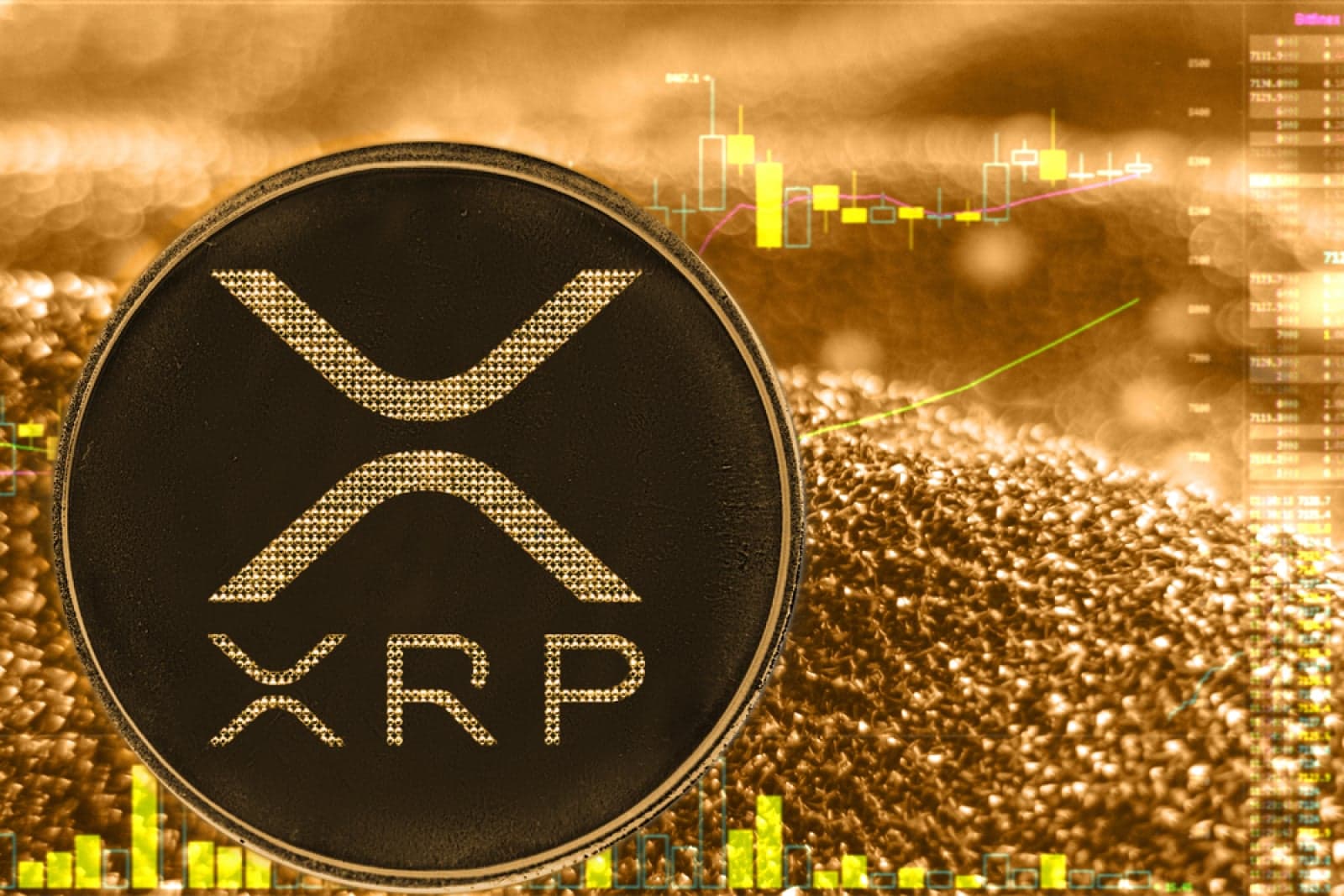 XRP Whales Hit 7-Month High on Binance