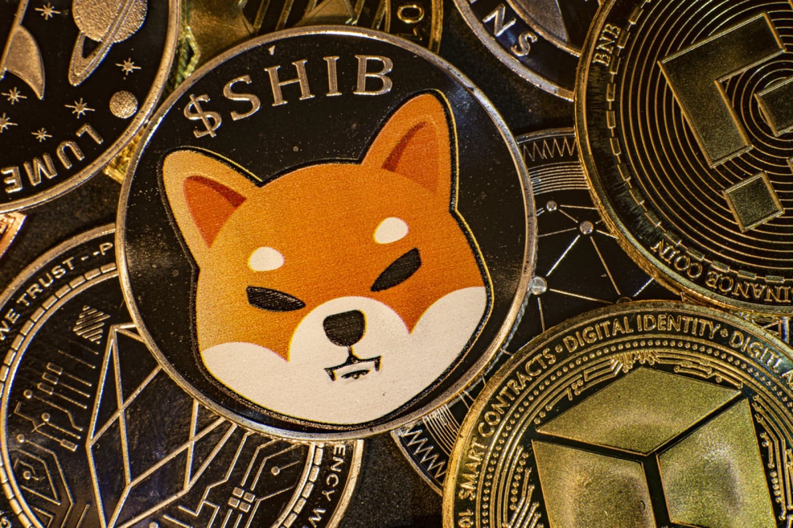 Shiba Inu (SHIB) Volume Around Zero, Price Future Stays Unclear