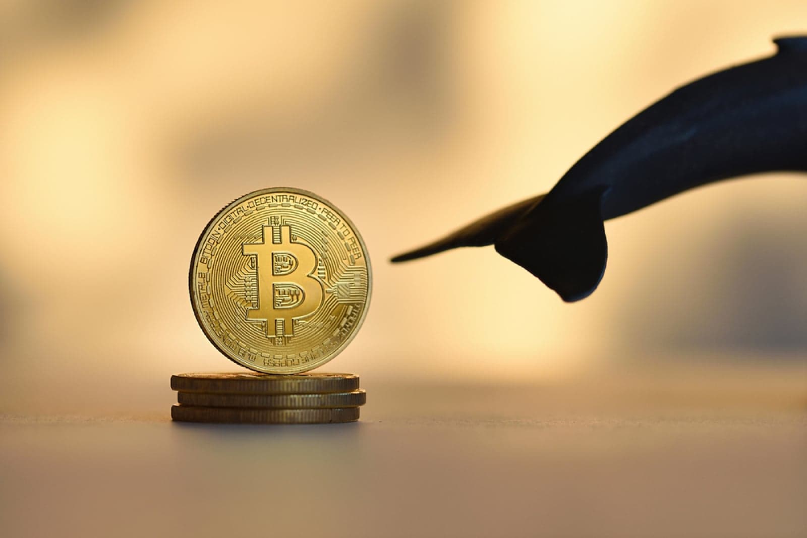 Dormant Bitcoin Whale Moves 4,582 BTC Worth $377 Million After 6 Years